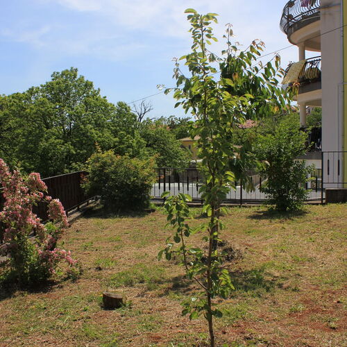 Nyaralóház Parkolóhellyel Opric, Opátia - Opatija - 7714 Oprič  3