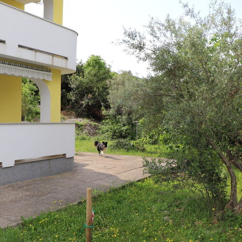 Apartmanok Parkolóhellyel Punat, Krk - 15010 Punat  3