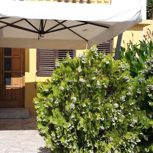 Apartmanok A Tenger Mellett Posedarje, Novigrad - 15786 Posedarje