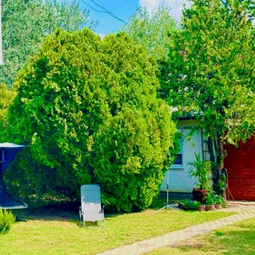 Busó Apartman Balatonboglár  4