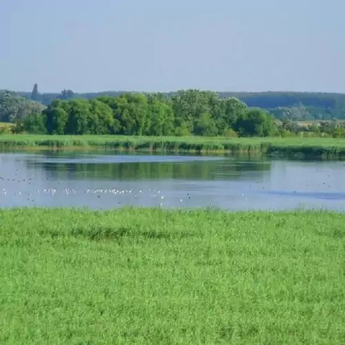 Vándormadár Vendégház Petőfiszállá 004 kép