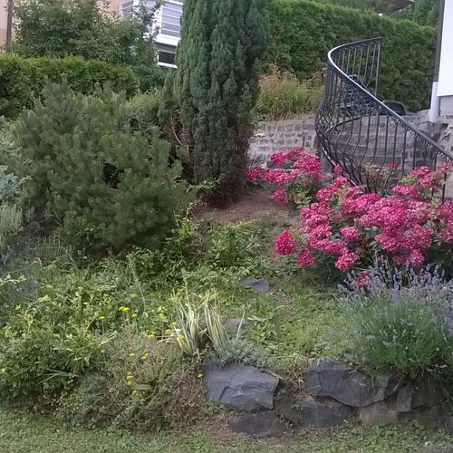 Villa Kolics Apartman Hévíz  3
