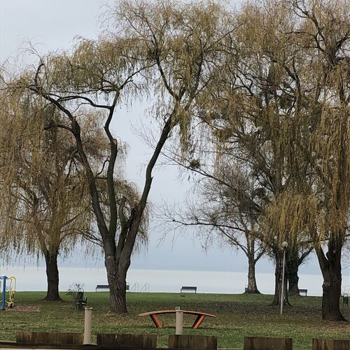 Vízparti Balaton Panzió Balatonberény  4