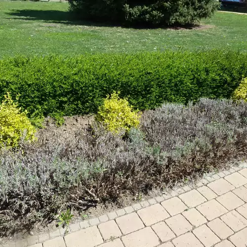 Sunrise Apartman Siófok 026 kép