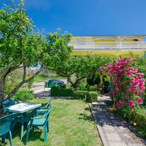 Apartments Boza Lopar  3