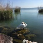 Wellness részleg, relaxáció
