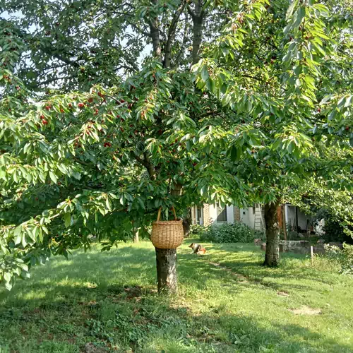 Múltidéző Apartman Zamárdi 013 kép