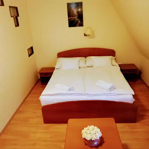 Wellness Villa Terézia Apartman Egerszalók 007 kép