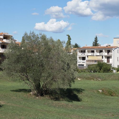 Apartments Ana Rovinj  2