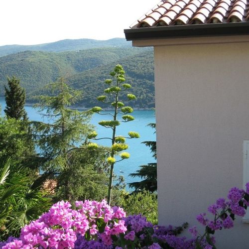 Apartment 41 Rabac  2