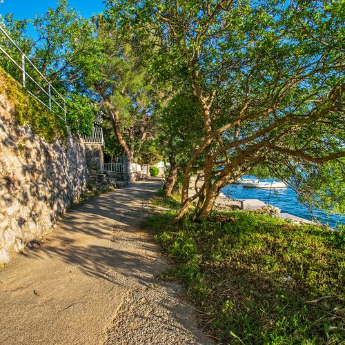 Apartmani Zaterini Starigrad  2