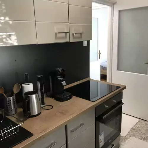 Központi Apartman Kiskunfélegyháza 012 kép