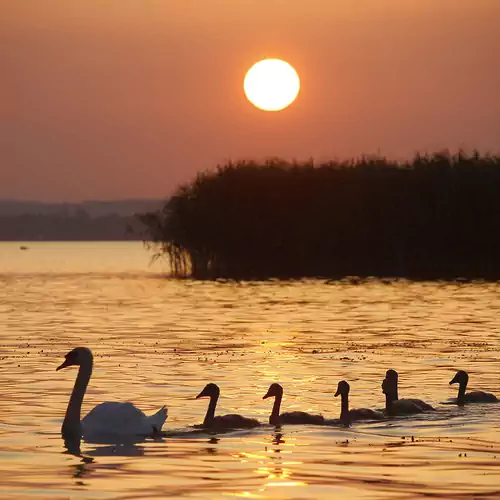 Hóvirág Apartman Balatonberény 004 kép