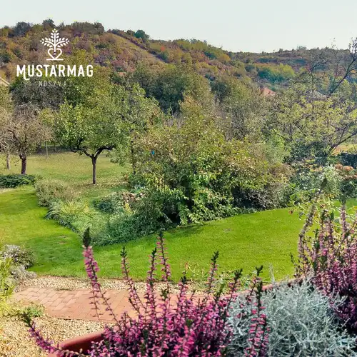 Mustármag Vendégház Noszvaj 026 kép