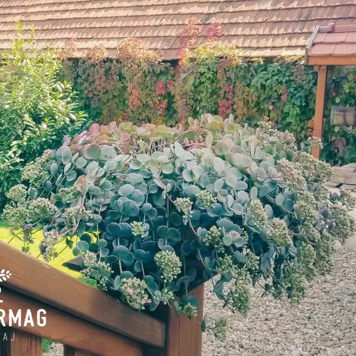 Mustármag Vendégház Noszvaj 027 kép
