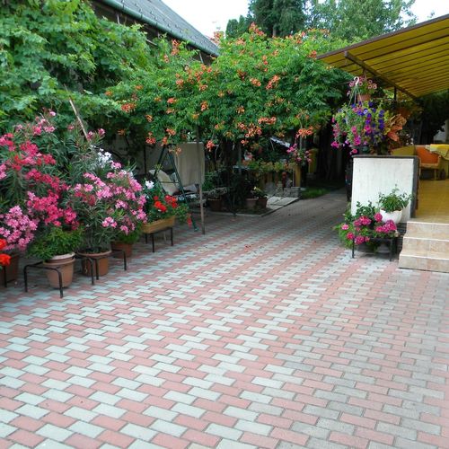 Muskátli Apartman Balatonmáriafürdő  4