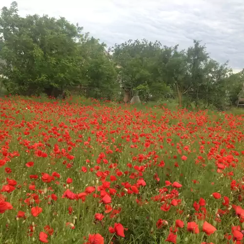 Balaton-felvidéki Parasztház Zalagyömörő 007 kép