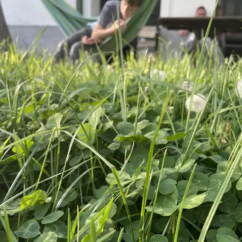 Balaton-felvidéki Parasztház Zalagyömörő 011 kép