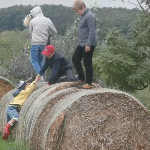 Istalló vendégház Feked 006 kép