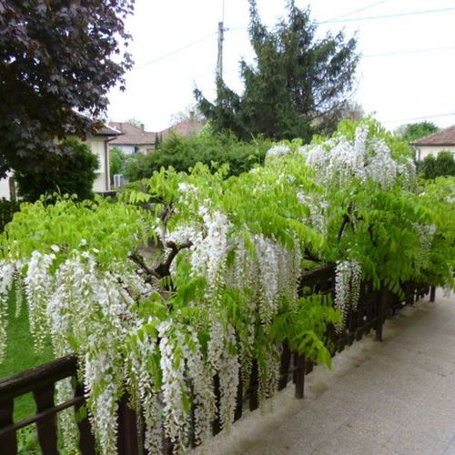 Panni Apartmanház Balatonlelle  3