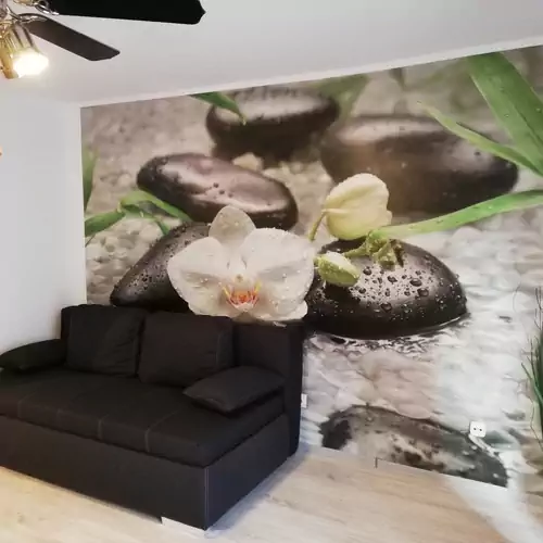 Orchidea Apartman Harkány 007 kép