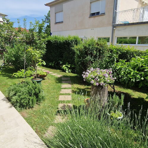 Apartments PIPO Krk  4