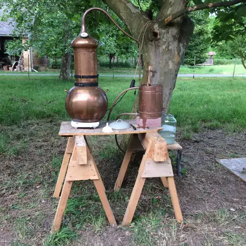 Gyógynövénylak Vendégház Zalaszentlászló 014 kép