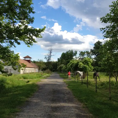 Belső &uacute;t a kaput&oacute;l a h&aacute;zhoz.