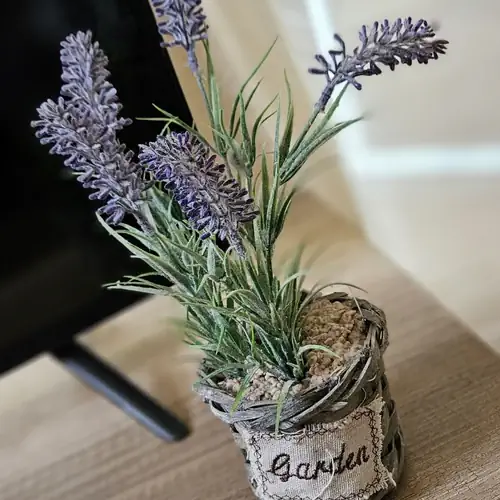 Gréta Apartman Hajdúszoboszló 013 kép