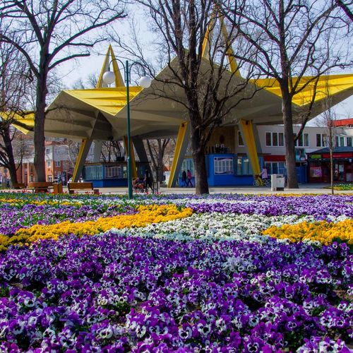 A Hungarospa strandjának meseszép főbejárata még a lombnyílás előtt