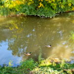 Centru Wellness, relaxare