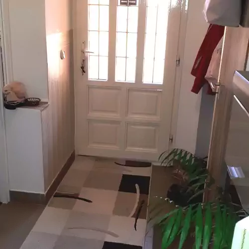 Mariann Apartman Balatonkenese 014 kép