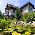 Wellness, relax