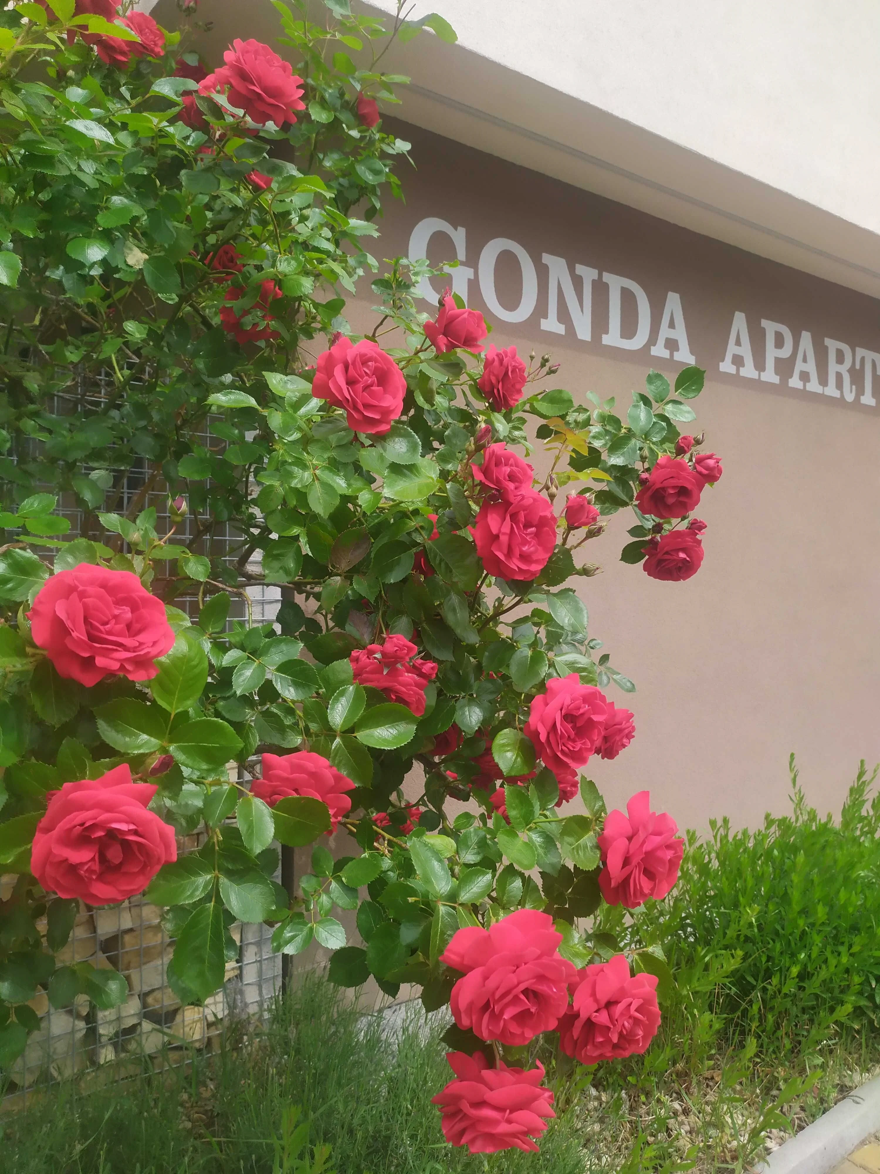 Gonda Apartments Hradec Králové