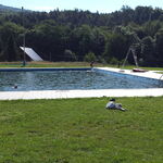 Wellness, relax