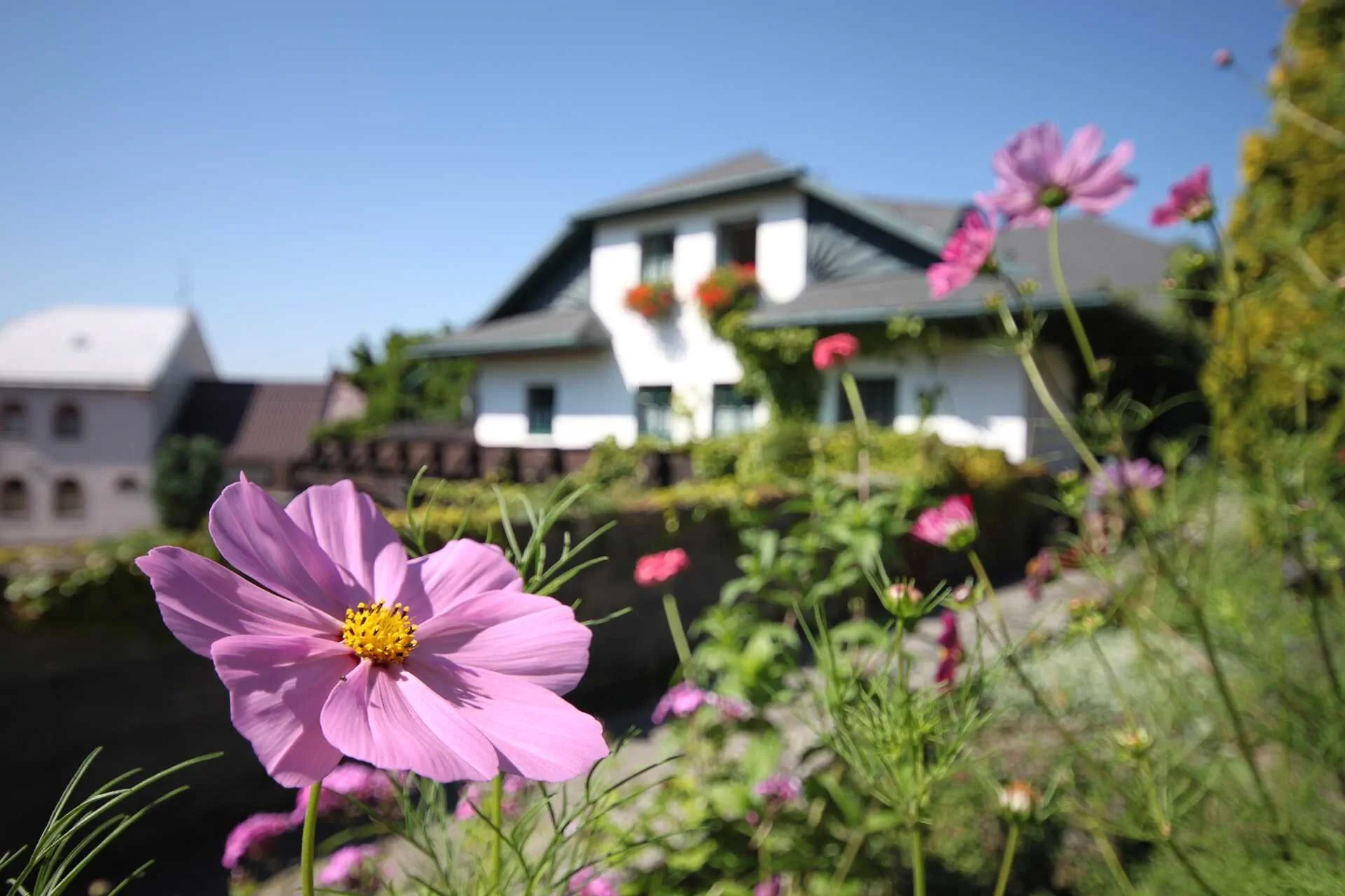 BRUSENKA Restaurant a pension Brusné