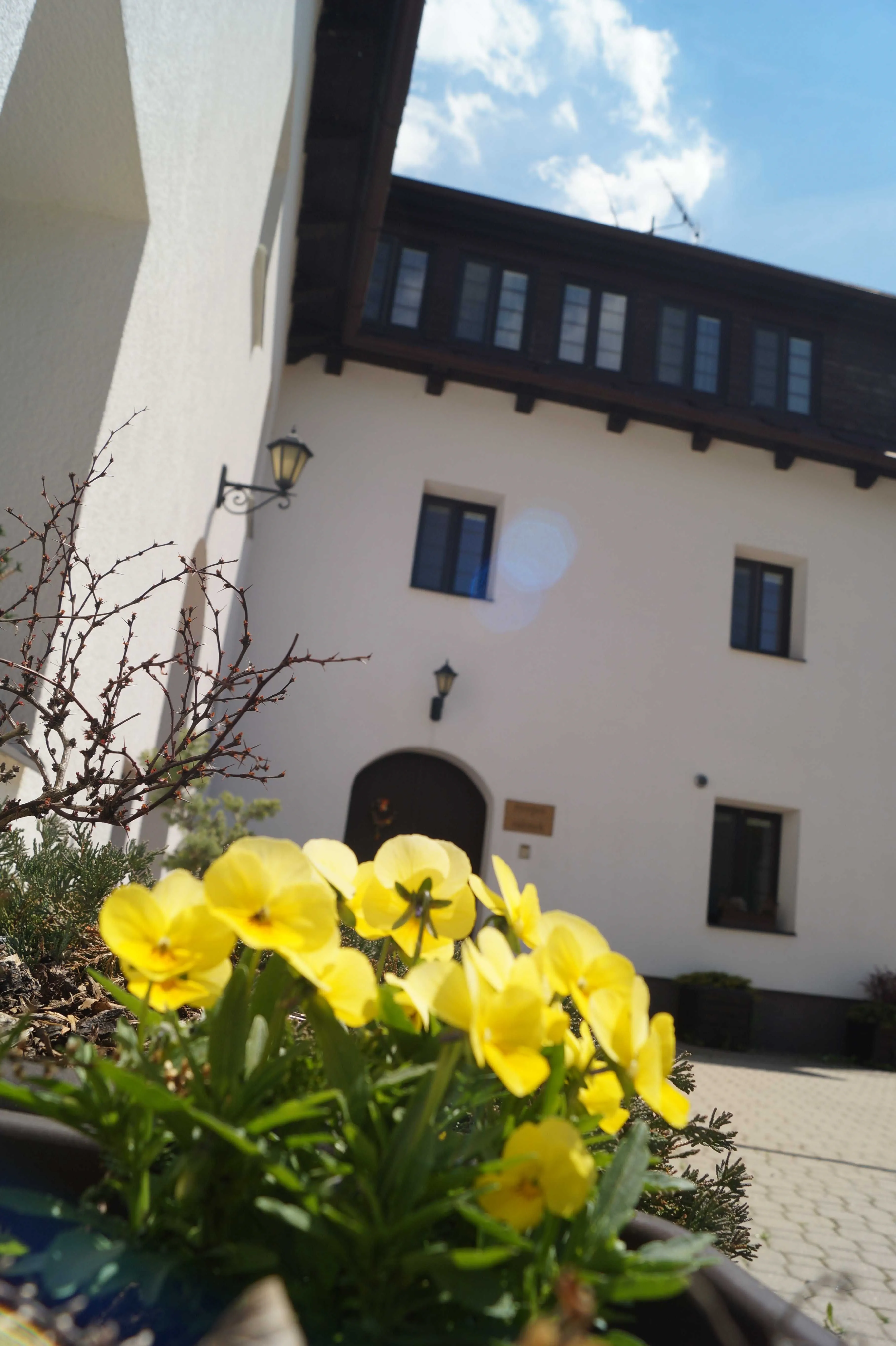 Hotel Tálský mlýn Žďár nad Sázavou