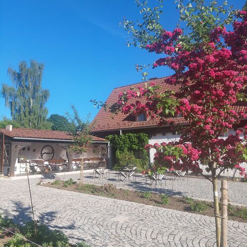 Manský dvůr Dolní Žandov