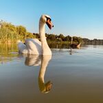 Wellness részleg, relaxáció