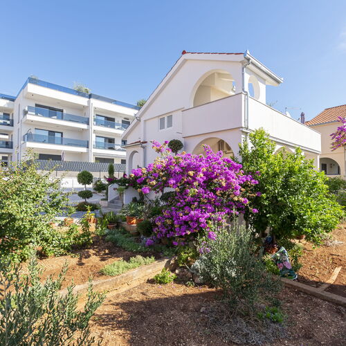 Apartment Mila Okrug Gornji  3