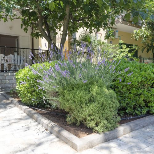 Apartments Karolina Vodice  3