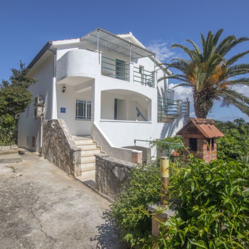 Apartments Palma Jelsa  3