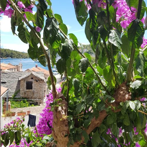 Rooms Roza Vrboska  4