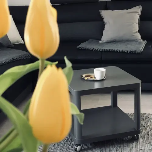 Muskot&aacute;ly apartman nappali