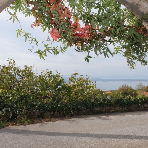 Villa Ivana 1903 Crikvenica  2