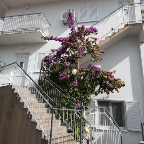 Apartments Zuljevic Rogoznica  3