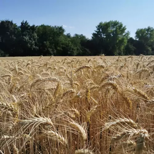 Almáskert Vendégház Fábiánsebestyé 046 kép