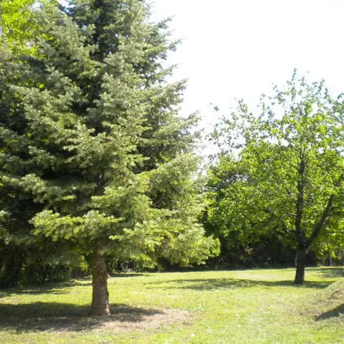 Hatalmas udvar r&eacute;sz 