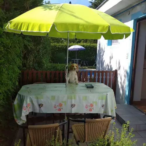Beni Apartman Siófok 002 kép