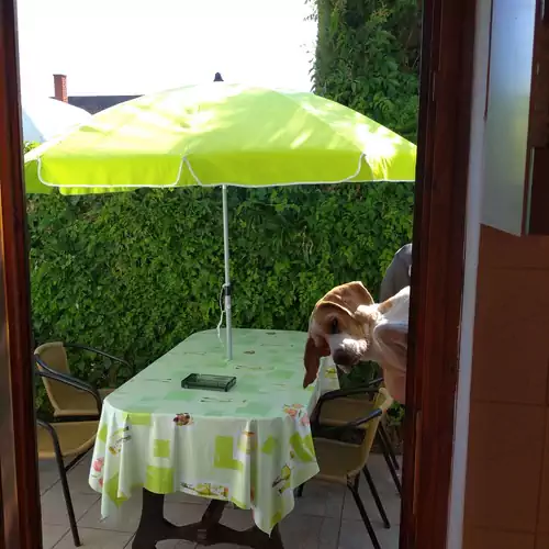 Beni Apartman Siófok 006 kép